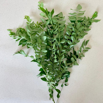 Organic Curry Leaves